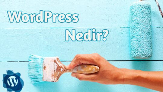 WordPress Nedir?